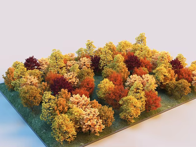 Colorful Autumn Trees With Yellow Red Orange Foliage In Dense Landscape 3d model
