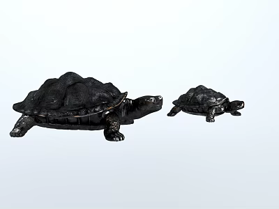 Black Reptile Turtles Large And Small Specimens On White Background 3d model