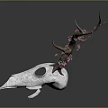 White Deer Skull Anatomical Model Medical Device For Educational Training