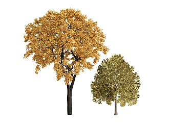 Plant combination tree big tree autumn tree 3d model