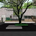 Modern Garden Landscape Design With Large Tree Stone Wall Steps And Green Plants