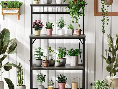 Multi Tiered Black Metal Plant Stand with Colorful Potted Green Flowering Plants Indoor 3d model