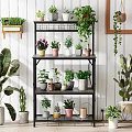 Multi Tiered Black Metal Plant Stand with Colorful Potted Green Flowering Plants Indoor