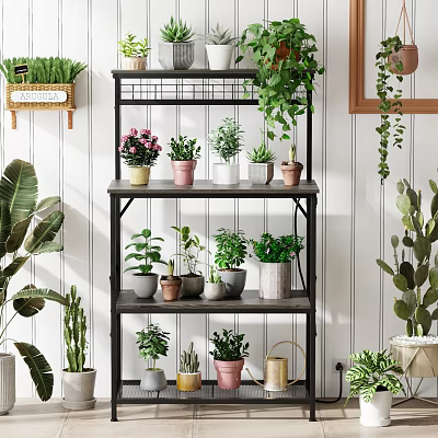 Multi Tiered Black Metal Plant Stand with Colorful Potted Green Flowering Plants Indoor 3d model