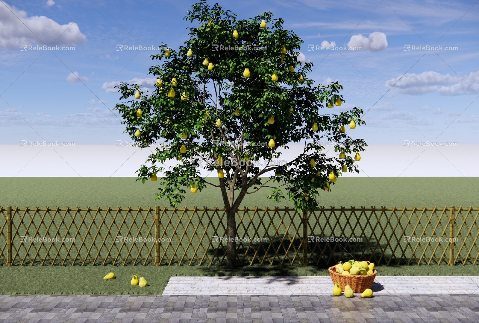 Garden Fruit Tree Pear Tree Pear Sydney Yali Pear Landscape Tree Fruit Tree 3d model