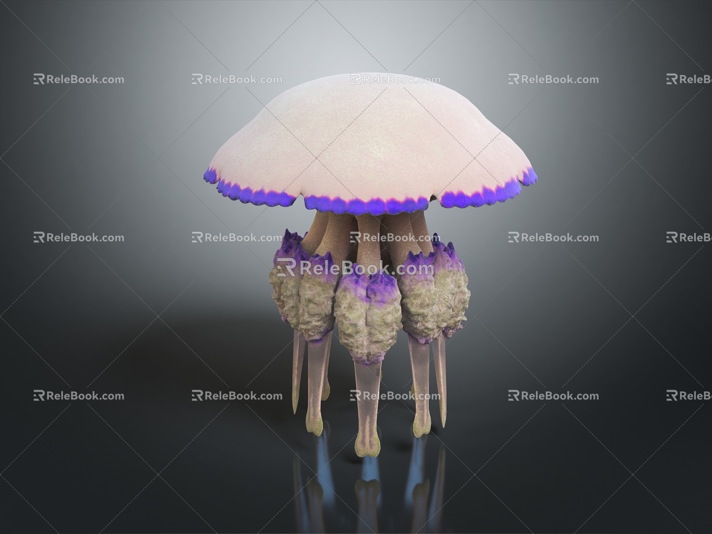 Modern Jellyfish Barrel Jellyfish Fireworks Jellyfish Silver Coin Jellyfish 3d model