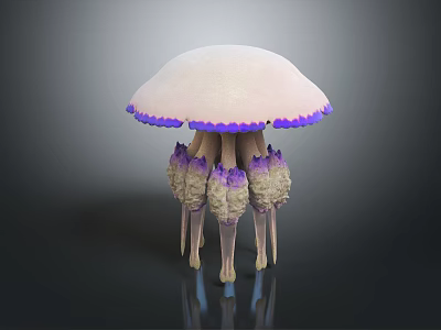 Colorful Jellyfish with White Bell Featuring Purple Edges and Tentacles in Purple and Beige Structures 3d model