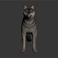 Game Movie Character 3D Wolf Model Standing Pose With Striped Fur Open Mouth