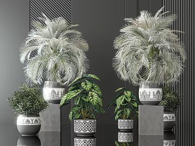 Various Potted Plants Including Palms And Leafy Greenery In Decorative Ceramic Pots On Dark Surface 3d model