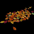 Vibrant Autumn Fall Leaves In Various Colors And Decorative Arranged Patterns 3d model