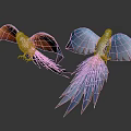 Bird Xuan Feng Parrot Birds 3d model