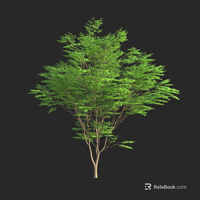 Reptile Lizard Crawling on Lush Green Tree with Slender Trunk and Black Background 3d model