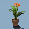 Orange Flowers With Green Leaves In Brown Pot On Blue Background