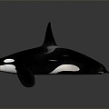 Modern Killer Whale Killer Whale Killer Whale 3d model