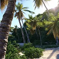 Scenic Coastal Landscape With Blue Sky Green Vegetation Palm Trees Rocks And Sandy Beach