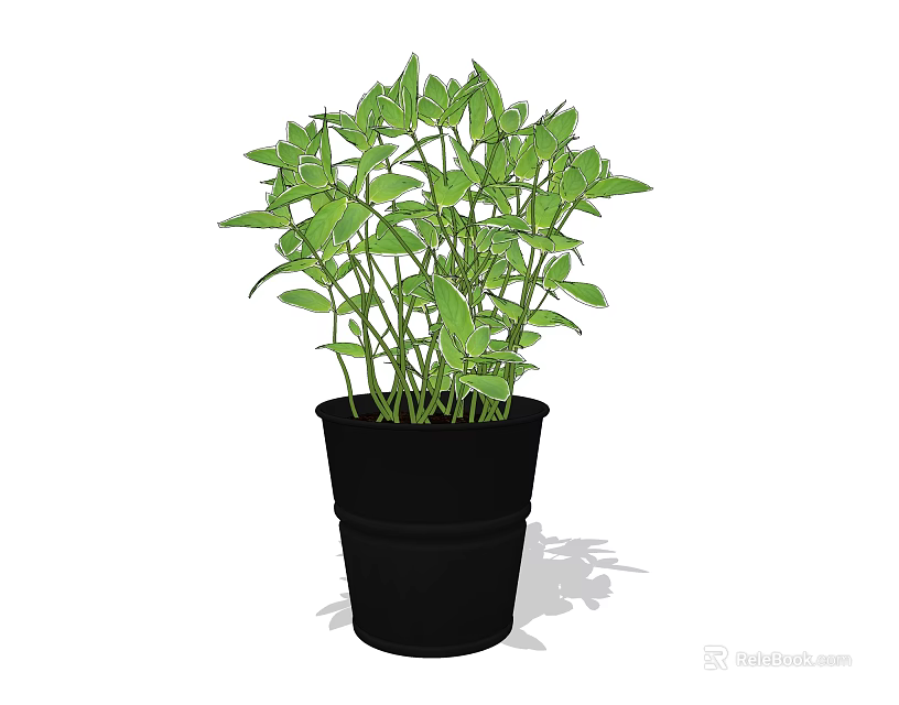 Indoor Decorative Bonsai Potted Plant With Fresh Lush Green Leaves In Black Pot 3d model 