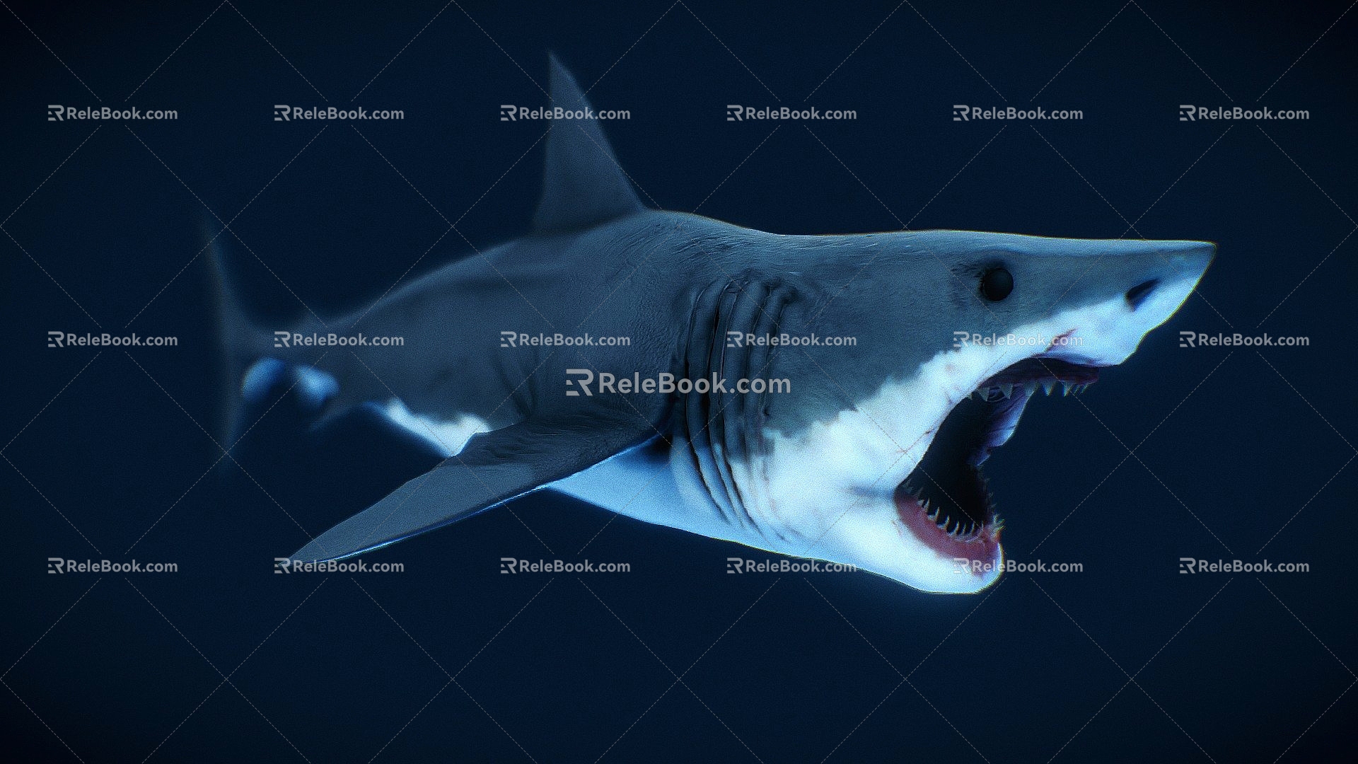 The Modern Shark 3d model