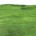 Lush Green Flowering Meadow Natural View With Rolling Terrain And Tiny White Flowers