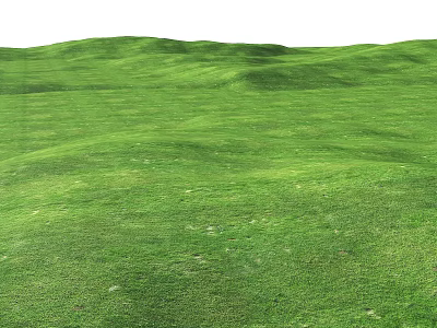Lush Green Flowering Meadow Natural View With Rolling Terrain And Tiny White Flowers 3d model