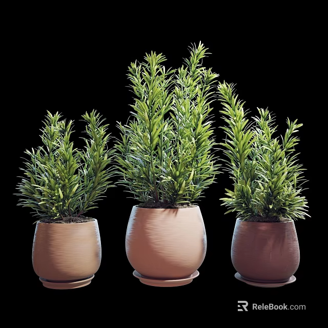 Three Green Bonsai Potted Plants in Terracotta Pots for Home Decor 3d model 
