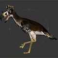 Detailed 3D Bird with Crest Open Wings Yellow Legs and Long Beak