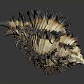 Artistic Intricate Handcrafted Conch Shaped Sculpture With Brown White Black Texture