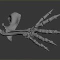 Skeletal Hand Bone Structure 3D Rendered Model with Sharp Claws and Detailed Phalanges on Dark Background