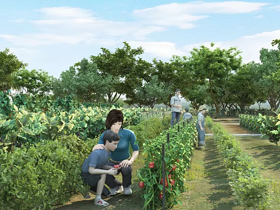 Family Tending Vegetable Garden With Green Plants And Trees On Sunny Day 3d model