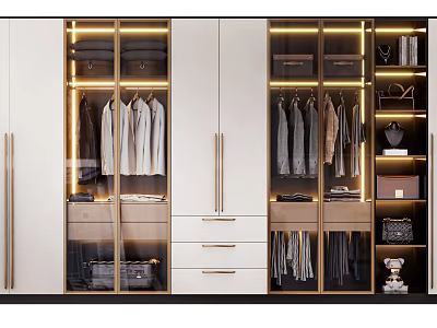 Modern Wardrobe Interior Design With Glass Doors Hanging Clothes Drawers And Lighting 3d model