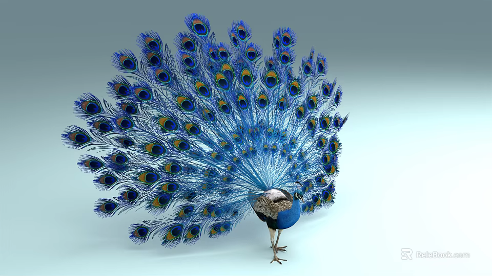 Colorful Flying Peacock with Expanded Blue Tail Feathers and Vibrant Eye Patterns 3d model 