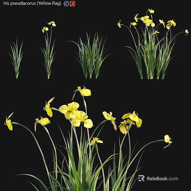 Vibrant Yellow Flowers With Lush Green Grass In Natural Garden Design 3d model 
