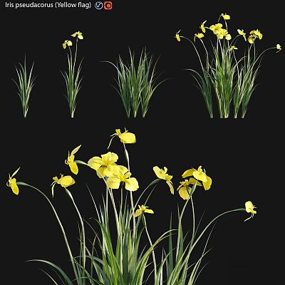 Vibrant Yellow Flowers With Lush Green Grass In Natural Garden Design 3d model