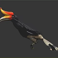 Vibrant Hornbill In Flight With Large Spread Wings Orange Yellow Beak And Dark Background