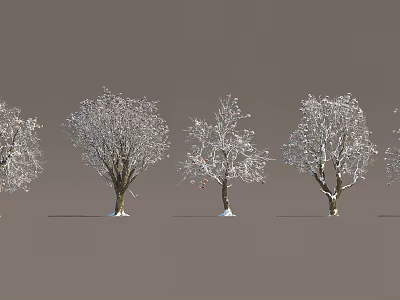 Snow Covered Arbor Trees with Brown Trunks and Bare Branches Arranged in Row 3d model