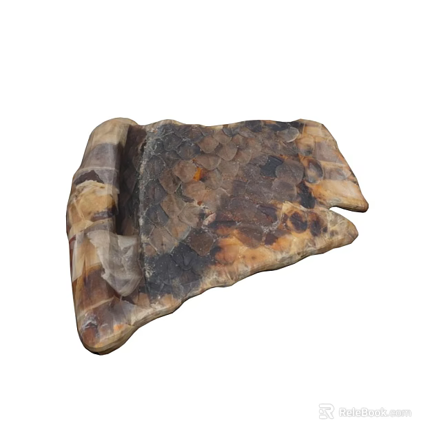 Ancient Plant Fossil With Natural Brown Black Beige Textured Stone Structure 3d model 