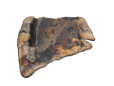 Ancient Plant Fossil With Natural Brown Black Beige Textured Stone Structure 3d model