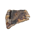 Ancient Plant Fossil With Natural Brown Black Beige Textured Stone Structure