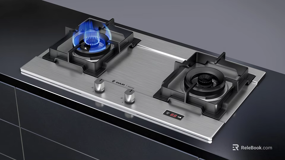 Double Burner Kitchen Gas Stove With Blue Flame Stainless Steel Panel Black Knobs Digital 3d model