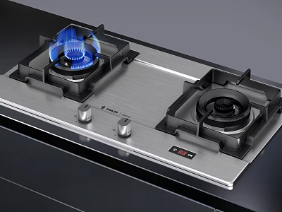 Double Burner Kitchen Gas Stove With Blue Flame Stainless Steel Panel Black Knobs Digital 3d model