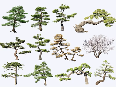 Ornamental Trees With Various Shapes And Green Foliage For Garden Landscaping 3d model