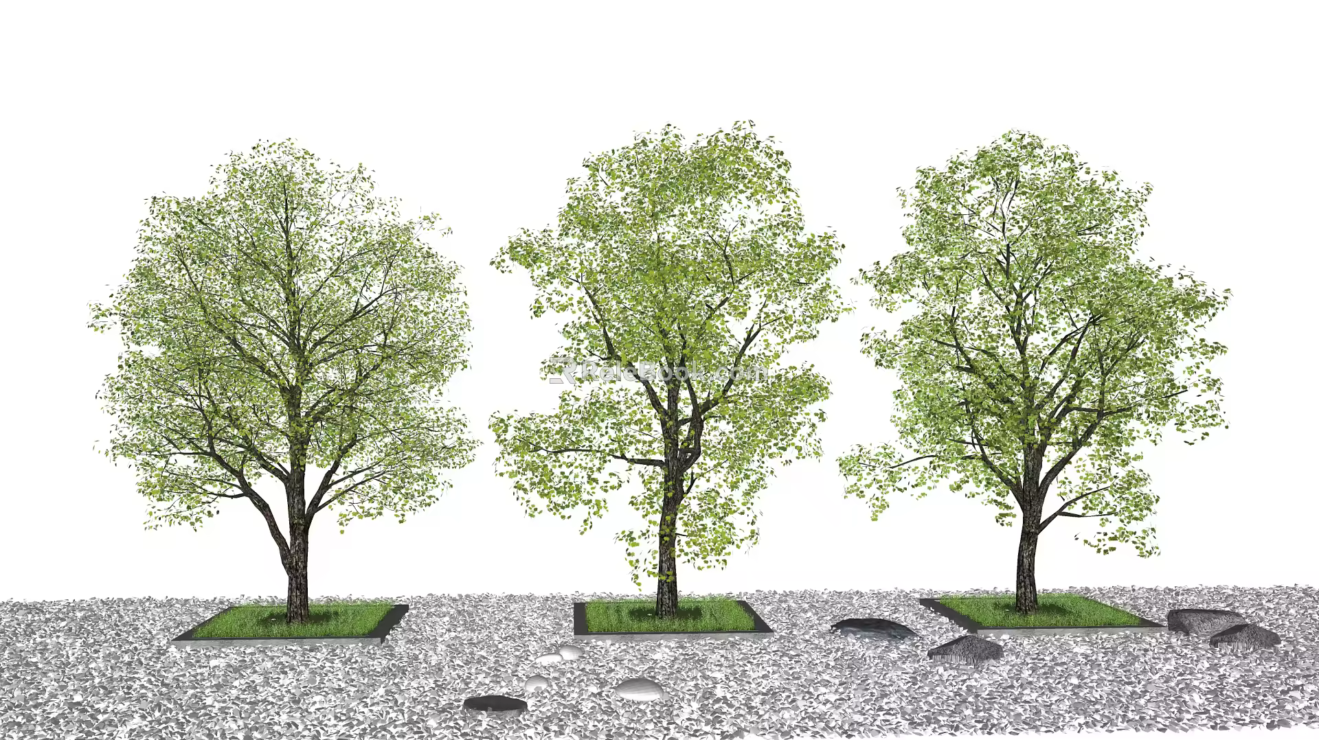 Modern Tree Landscape Tree 3d model