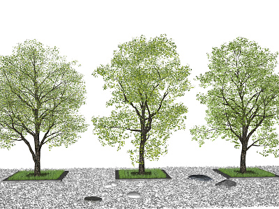 Modern Tree Landscape Tree model