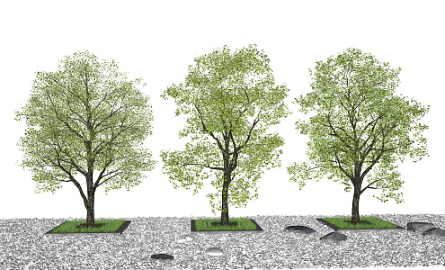 Modern Tree Landscape Tree 3d model