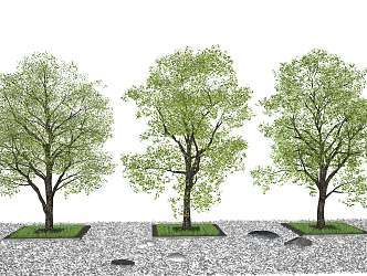 Modern Tree Landscape Tree 3d model