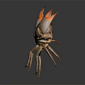Brown crab with red claws and shiny body on dark background
