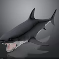 Shark Model With Open Mouth Sharp Teeth And Shiny Surface On Dark Background