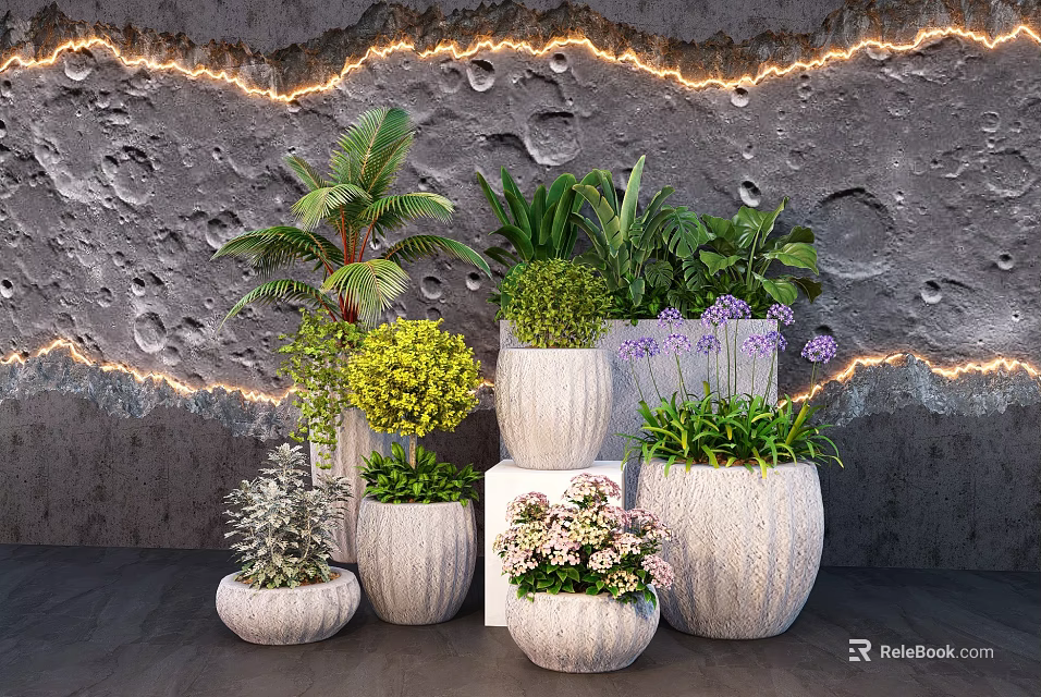 Bonsai Potted Plants Featuring Different Shapes Sizes Pots on Textured Gray Wall with Lighting 3d model 