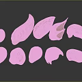 Golden Human Ear Models In Various Shapes With Glossy Surface And Black Background Reflections