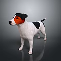 Realistic Jack Russell Terrier Dog With Black White Brown Coat Standing On Dark Background