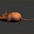 Game And Movie Character Orange Furry Mouse 3D Model With Large Ears And Black Eyes